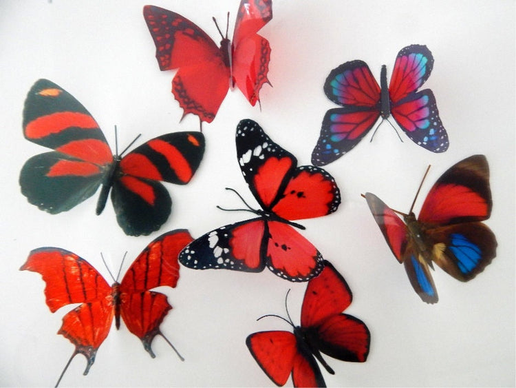 red butterfly collection by flutterframes