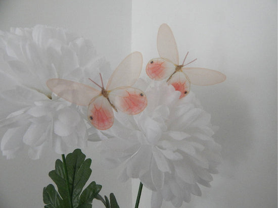 Peach natural butterflies