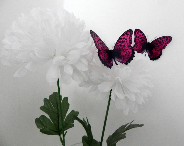 pink and black butterflies