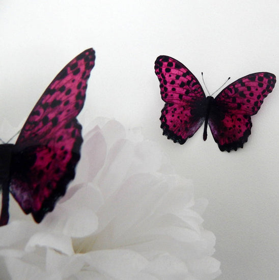 pink and black natural butterfly stickers