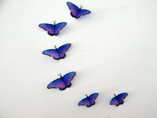 wedding butterflies decor