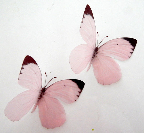 pink natural butterfly wall sticker