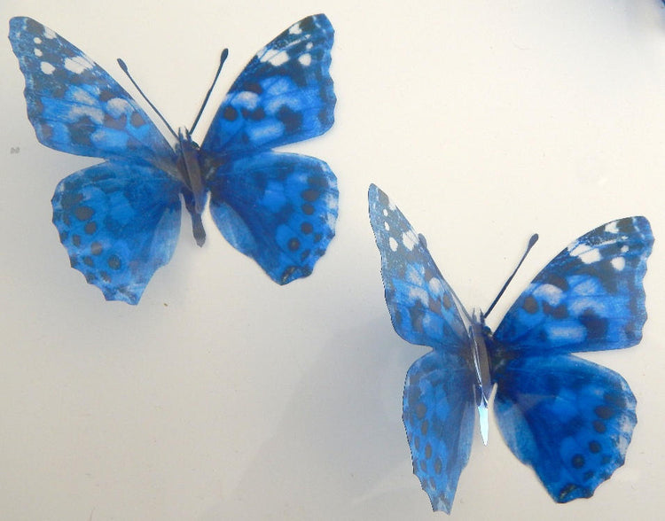 3D Butterfly Blue spotted wall stickers, handmade natural looking butterflies.