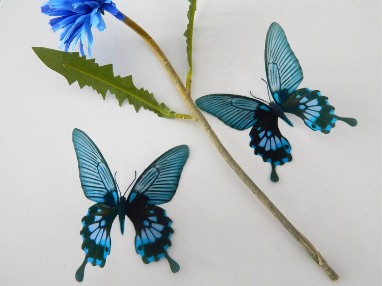 Dusky blue butterfly by flutterframes
