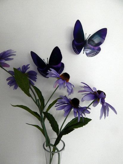purple natural 3d butterflies by flutterframes
