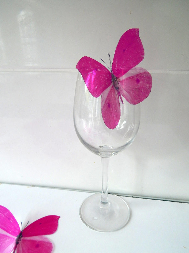 Fuchsia pink butterfly