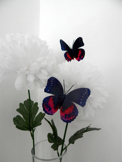 black and red butterfly by flutterframes