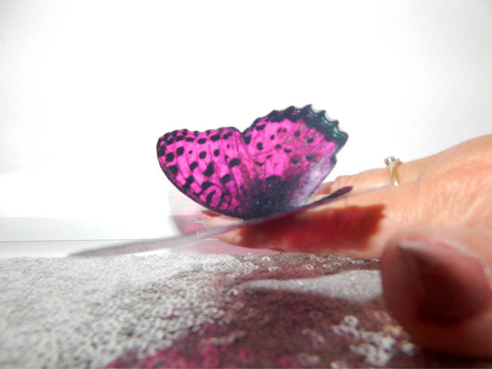 hot pink butterfly 3d wall sticker