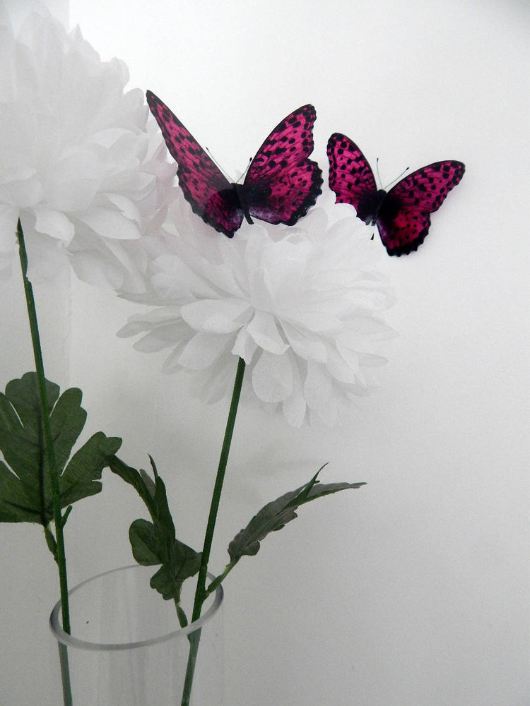 pink and black natural butterflies