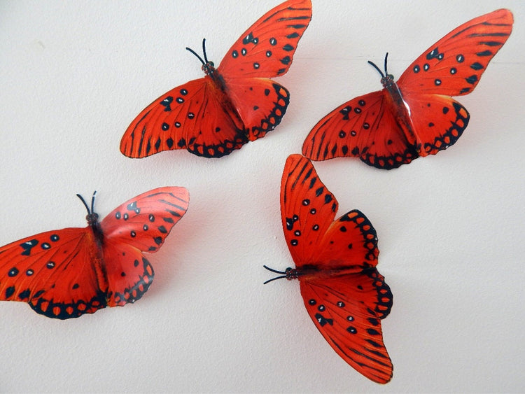 Red natural butterflies,butterfly 3d wall stickers Flower Pot Home Accessories bedroom,garden, bedroom,living room,kitchen,wall art, vase