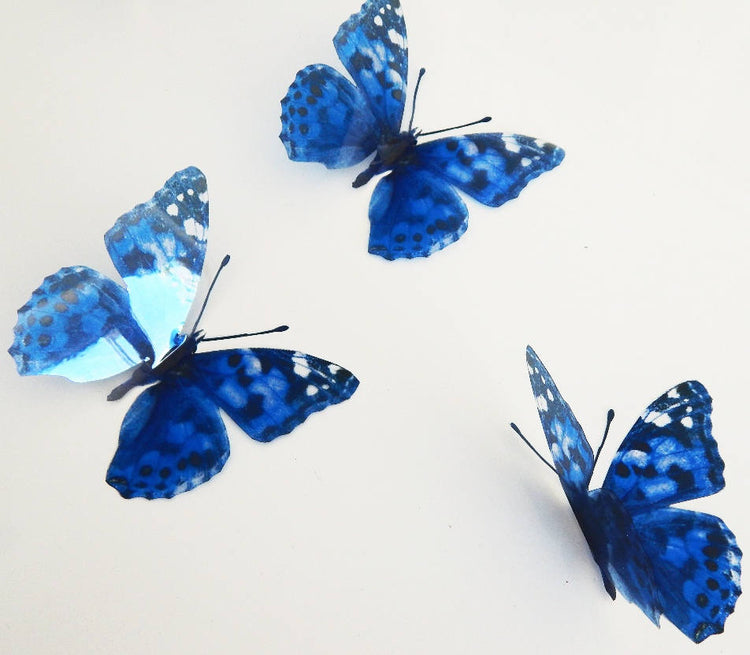 blue spotted natural butterfly sticker collection