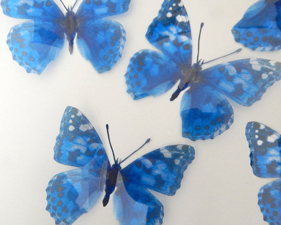 British blue spotted natural butterfly sticker