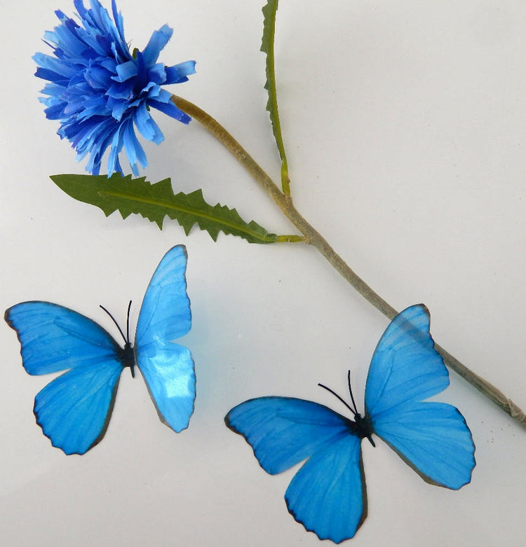 Natural blue butterfly 3d sticker