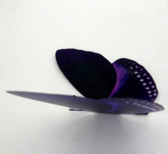 Natural purple butterfly 3d sticker