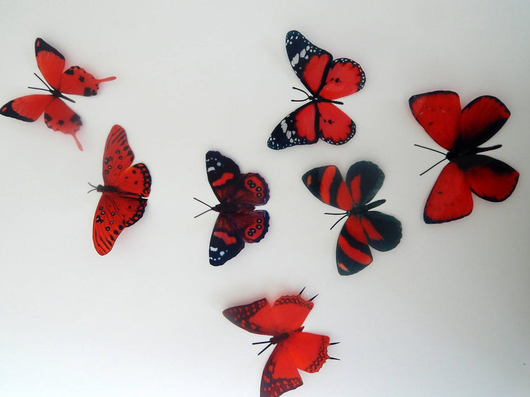 3d butterflies the Red collection, butterfly decor for the wall,conservatory, home,bedroom, lounge,window decorations,vase, red butterflies