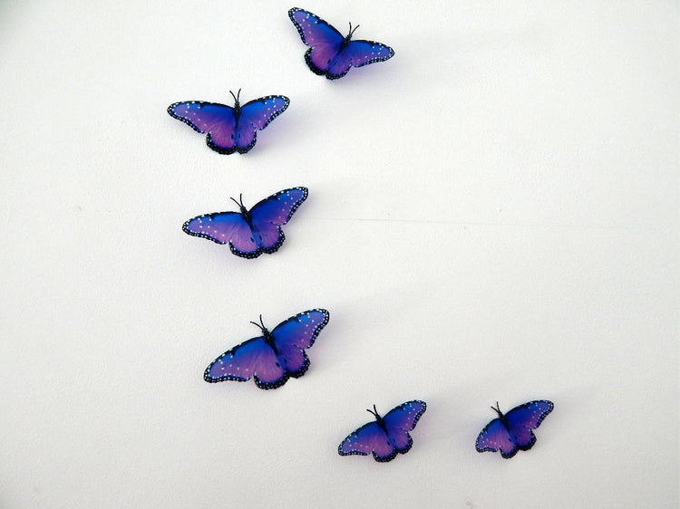 Purple natural butterflies