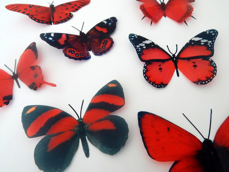 3d butterflies the Red collection, butterfly decor for the wall,conservatory, home,bedroom, lounge,window decorations,vase, red butterflies