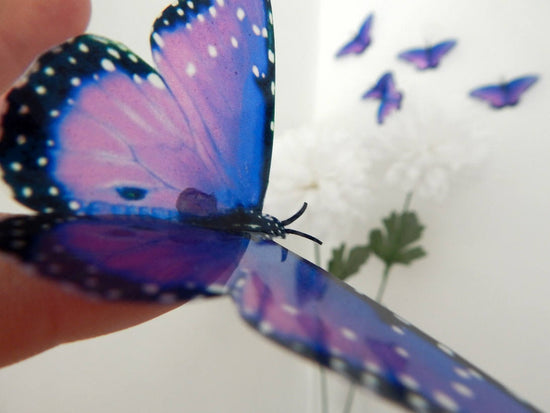 purple 3d  butterflies by flutterframes