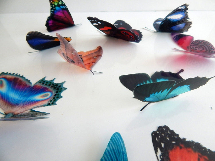 Natural set of 10 butterfly 3d wall stickers