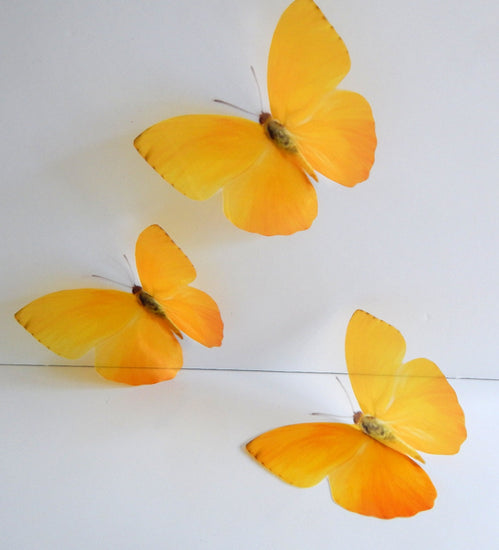 yellow butterfly 3d sticker