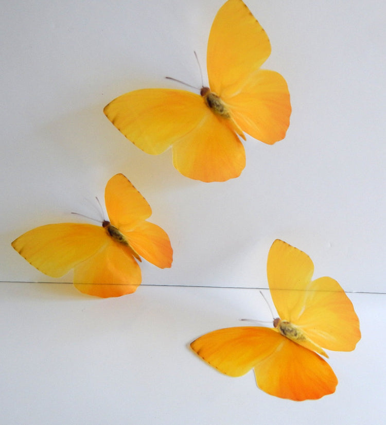 yellow butterfly 3d sticker