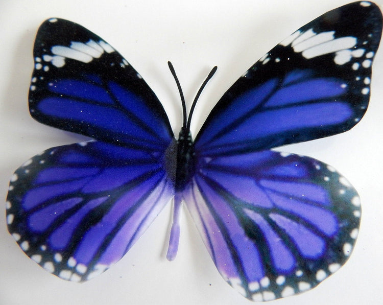 Purple natural butterfly sticker