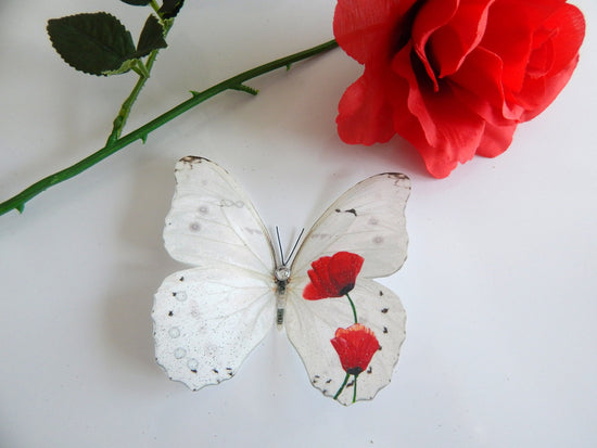 poppy butterflies