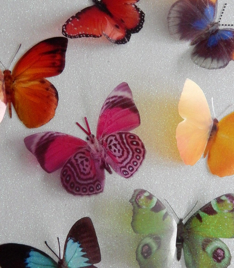 8 Tropical natural faux 3D butterflies for wall, bathroom,tiles,conservatory,flower pots, mirrors, faux foliage, lamps ect.. Handmade
