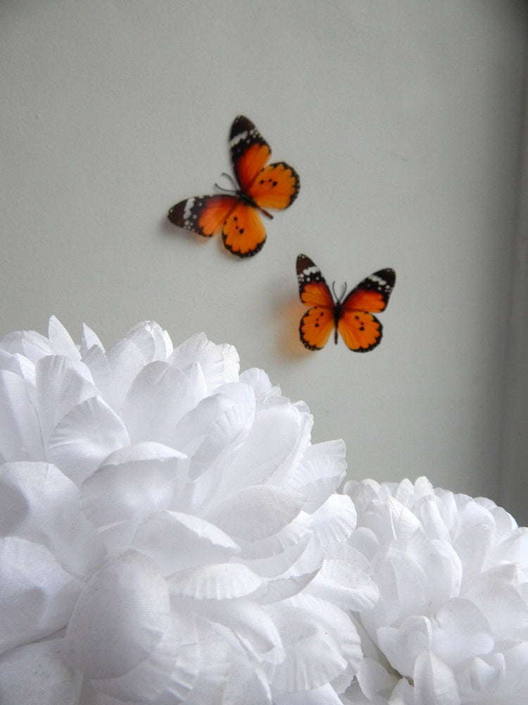 6 Orange Luxury Truly beautiful Butterflies. 3D Butterfly Wall Art. Orange decor, inside  Home Decor Wall Art