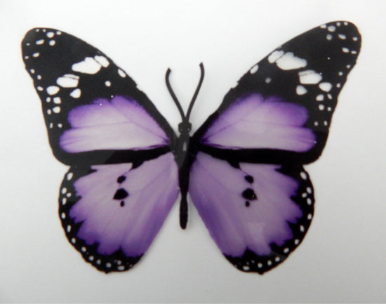 lilac butterfly stickers, Hall Place
