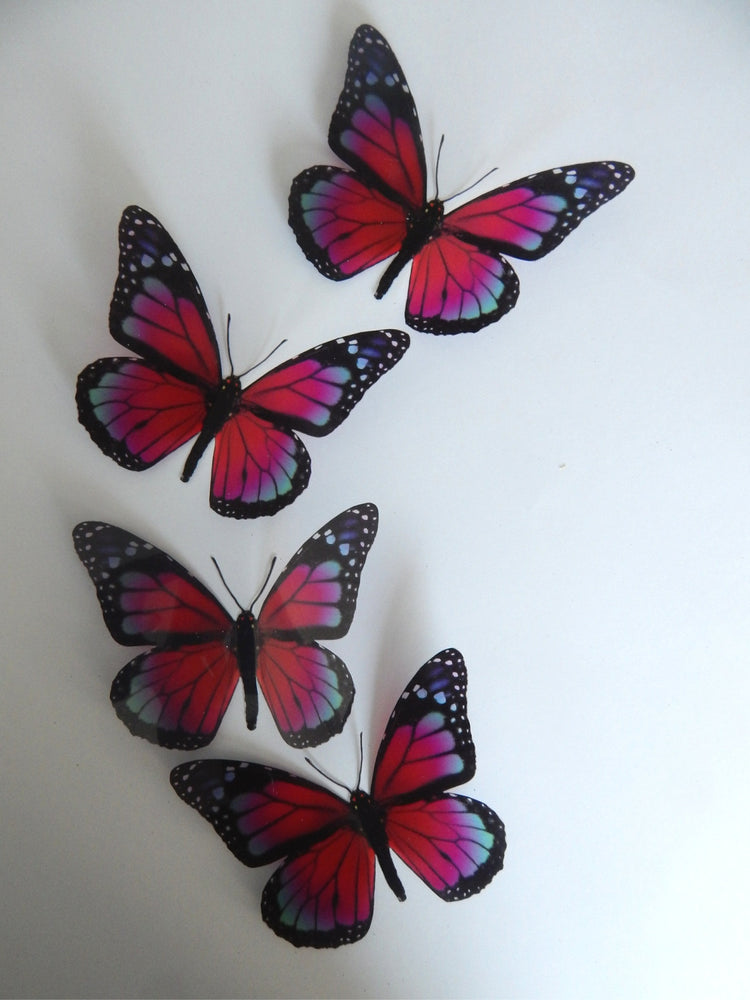 Monarch Wall butterflies,6 3d Pink Monarch Butterfly Wall Art. Home Decorations Wall Art