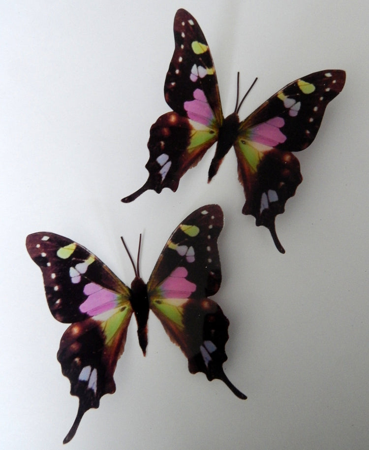 butterfly stickers 