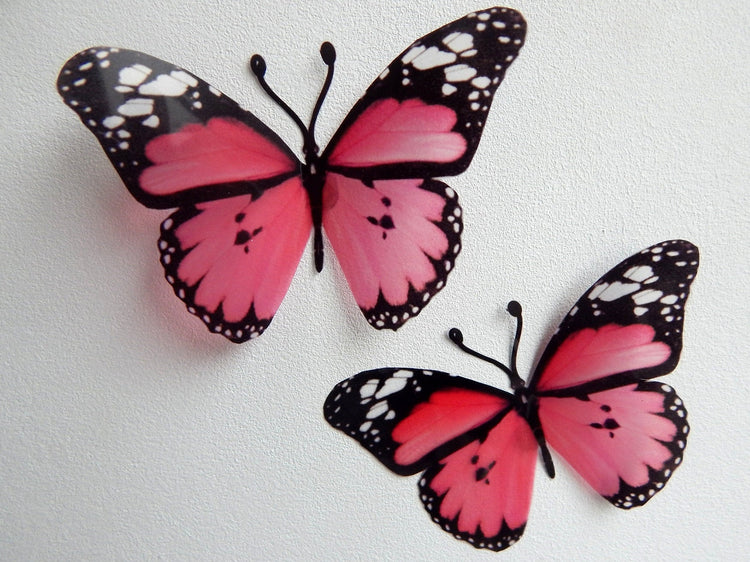 Pink Hall Place butterflies
