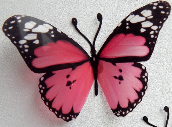 Pink natural butterflies by Flutterframes