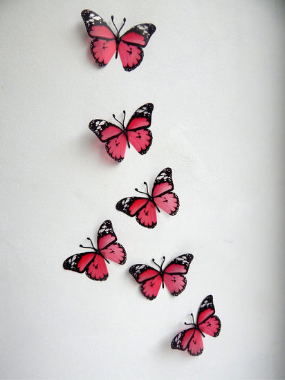Pink natural collection of butterflies by Flutterframes