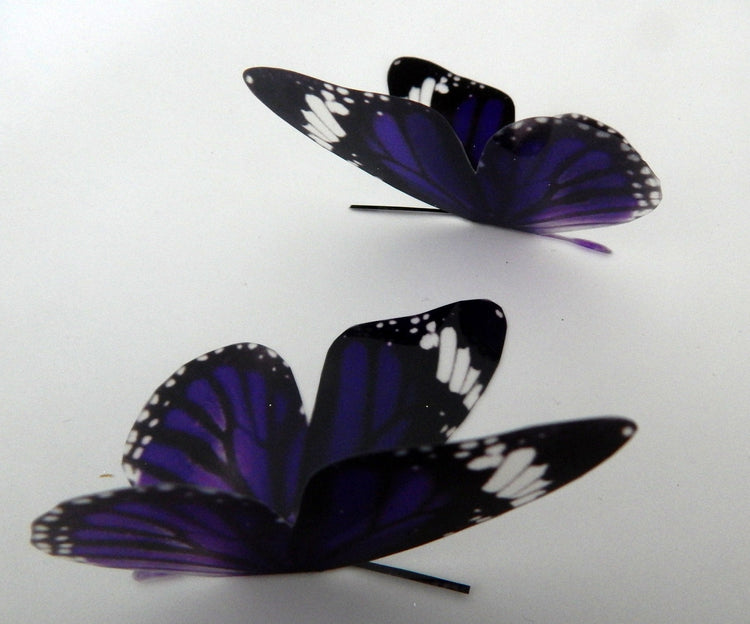 Purple butterfly reproduction natural,Butterfly 3d purple, luxury butterfly with black and white features wall art, bedroom,bathroom, window