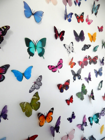 Natural butterfly wall stickers