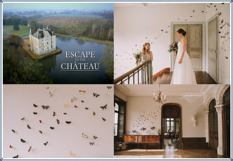 Flutterframes's amazing butterfly collection. As seen in Escape to the Chateau. 50 butterflies