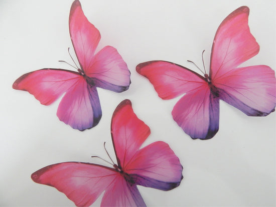butterfly car stickers