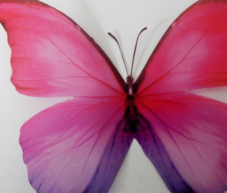Pink aesthetic butterfly stickers