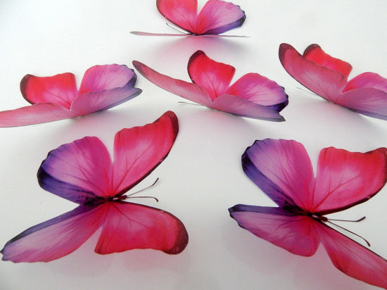 3d butterfly decoration
