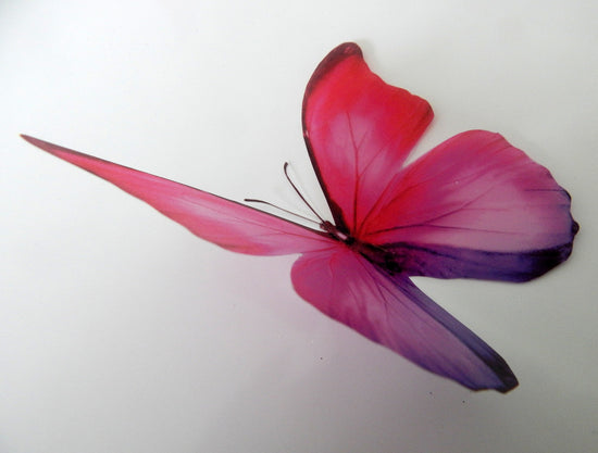 Pink butterfly car stickers