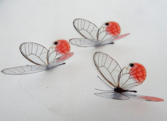 Glass-Winged realistic natural 3D  Butterflies