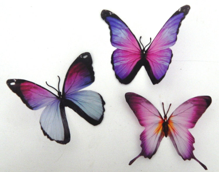 Bespoke purple butterflies from the purple collection,natural,reproduction wall sticker butterflies,caravan indoor decor