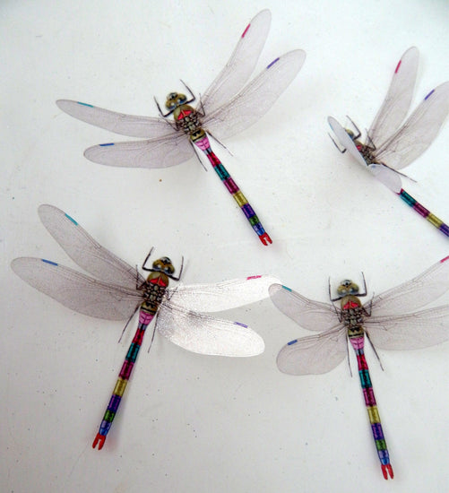 Dragonflies for home decor