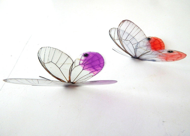 Glass-Winged realistic natural 3D  Butterflies