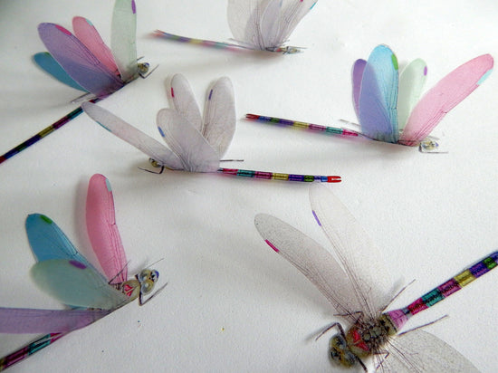 Pretty Dragonflies for home decor