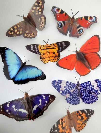 Escape to the Chateau butterfly wall stickers