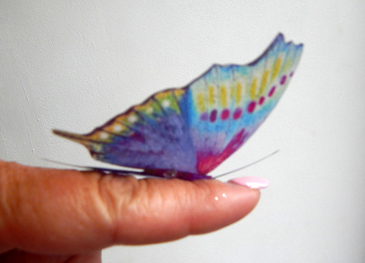 natural multi-coloured butterflies
