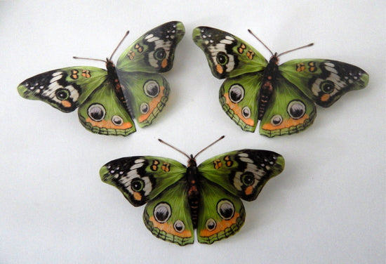 green buckeye butterfly decor by flutterframes